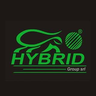 hybrid group, noleggio auto e furgoni santa maria capua vetere, caserta